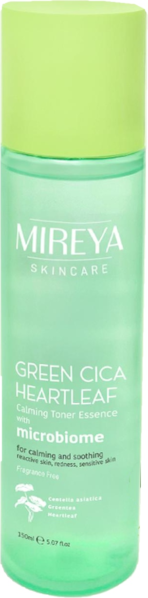 Green Cica Heartleaf